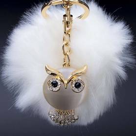 Box fashion owl