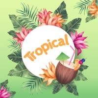 Feste per ragazzi a tema Tropicale - Festa e Regali