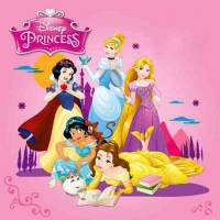 Feste a tema Principesse Disney personalizzate - Festa e Regali